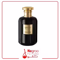 عطر و ادکلن مردانه روبرتو ویزاری مدل Nirvana