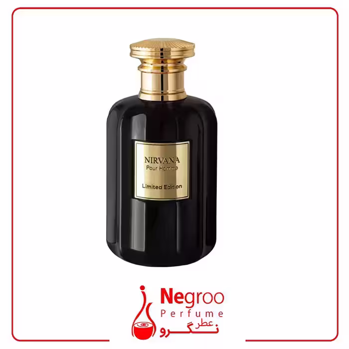 عطر و ادکلن مردانه روبرتو ویزاری مدل Nirvana