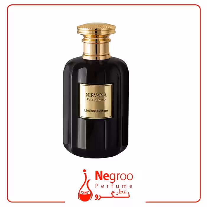 عطر و ادکلن مردانه روبرتو ویزاری مدل Nirvana