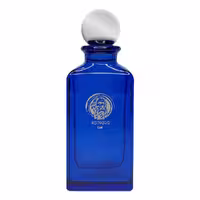 ادو پرفیوم مردانه fragrance رودریگو مدل Luis حجم 100 میلی‌لیتر برند نگین عطر