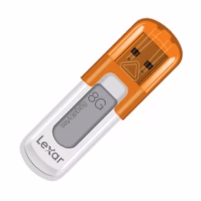 LEXAR FLASH MEMORY V10 8GB