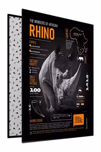 کلاسور 4 حلقه 100 برگ آفریقا پیل