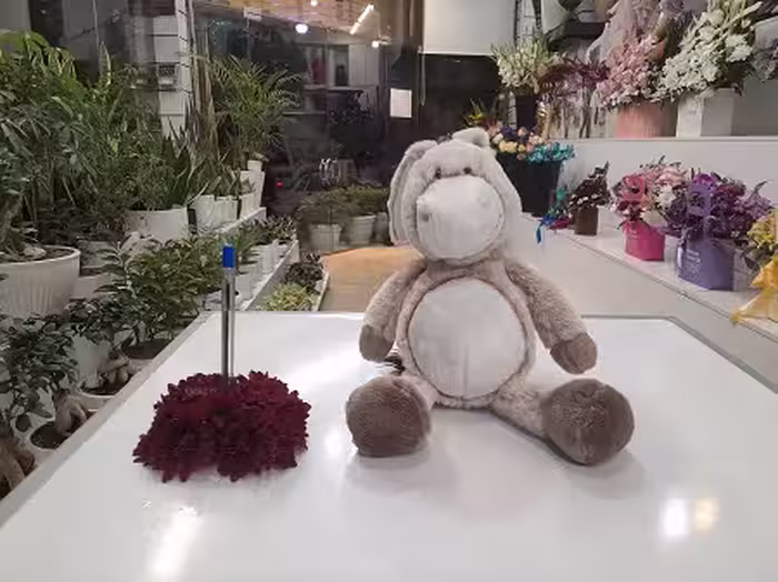 عروسک الاغ مهربان