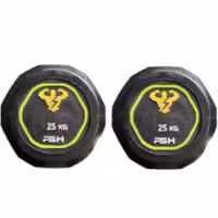 دمبل گرد وزن 25 کیلوگرم