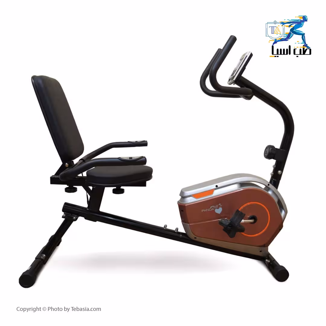 دوچرخه ثابت مبله پاندا L360