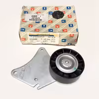 هرزگرد کوچک تسمه دینام زانتیا 18 با پایه