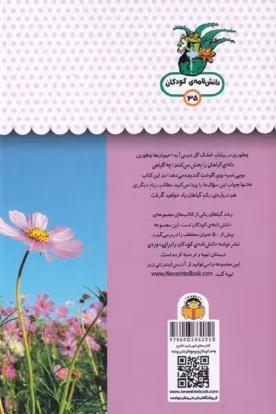 یک فنجان دانستنی دربارهی: رشد گیاهان