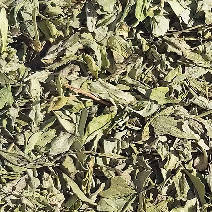 سبزی خشک نعنا - (فله 1 کیلویی) - محصولی از برند صادراتی فردوس ناب