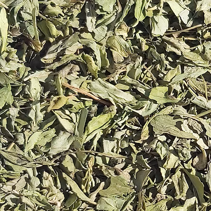 سبزی خشک نعنا - (فله 1 کیلویی) - محصولی از برند صادراتی فردوس ناب