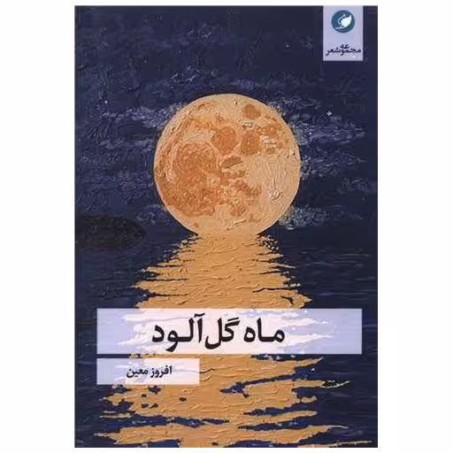 کتاب ماه گل آلود اثر افروز معین