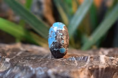 فیروزه نیشابور