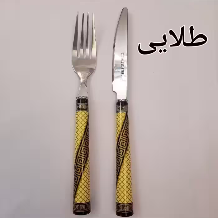 ست کارد و چنگال میوه خوری 12 پارچه  مدل WTG