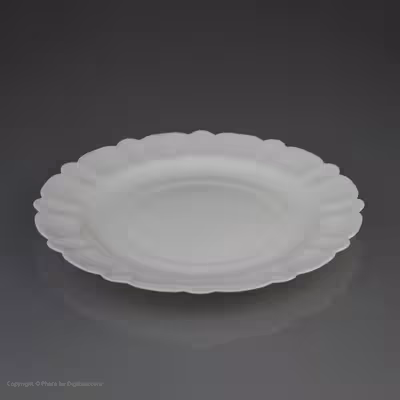 سرویس غذاخوری 25 پارچه آیروپال طرح گرد مدل سارا صورتی و آبی 