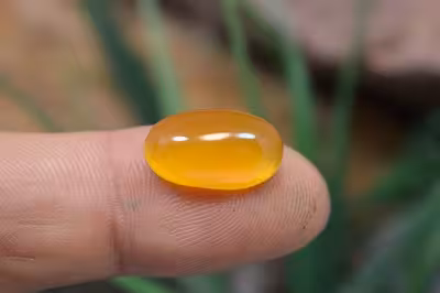 عقیق شرف شمس