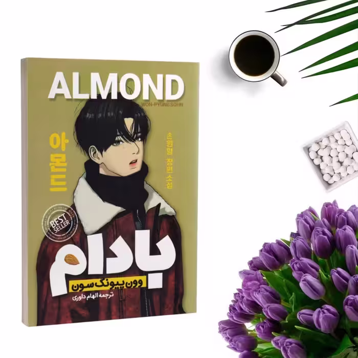 کتاب بادام اثر وون پیونگ سون انتشارات پارس اندیش ( رمان کره ای نوجوان )