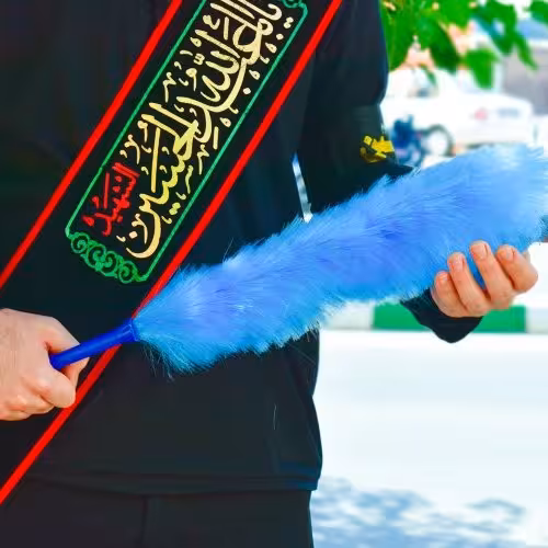 چوب پر و گرد گیر خانه