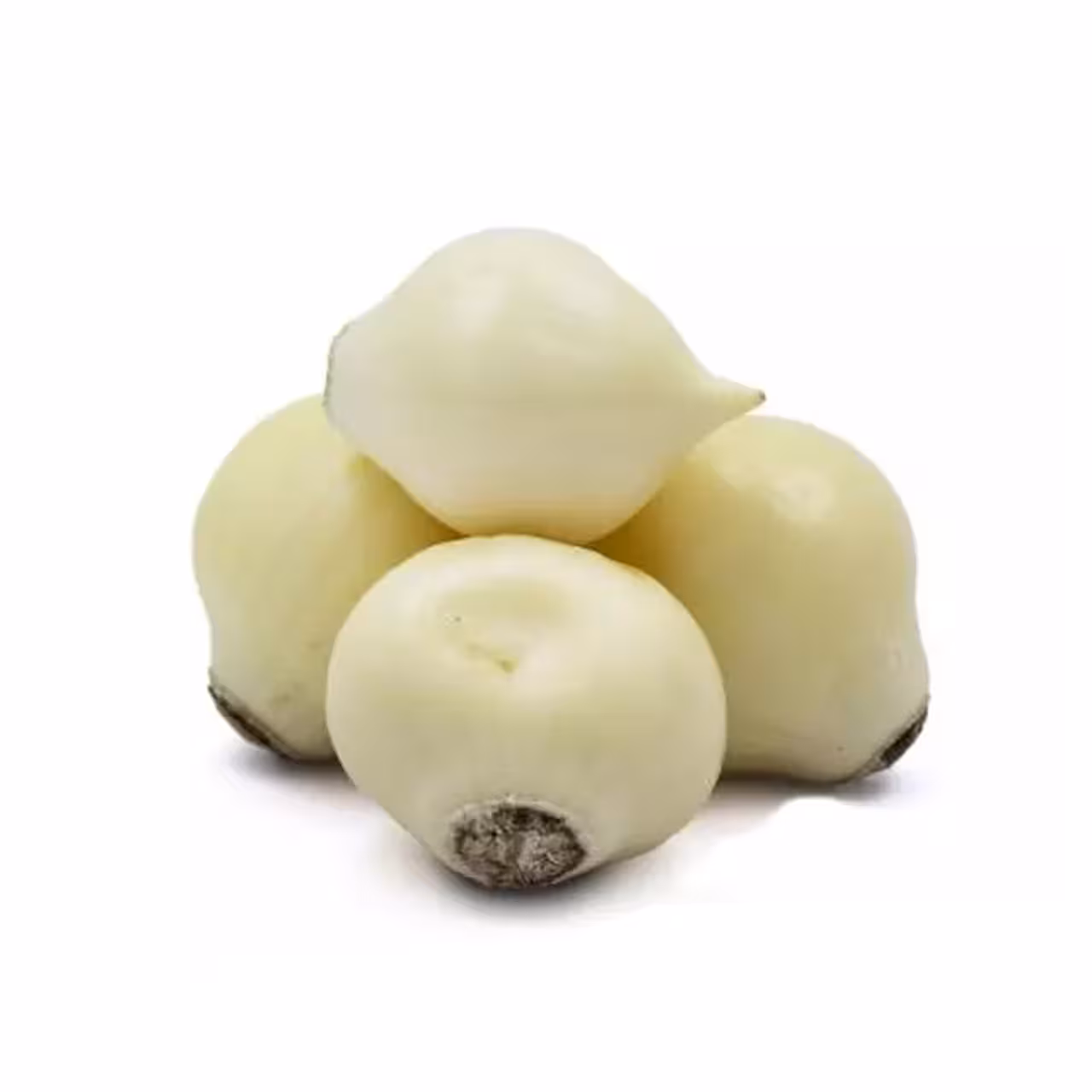 موسیر تازه درجه یک - 250 گرمی