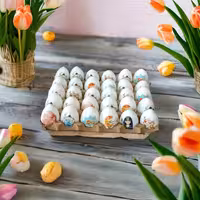 تخم مرغ سفالی ترانسفر