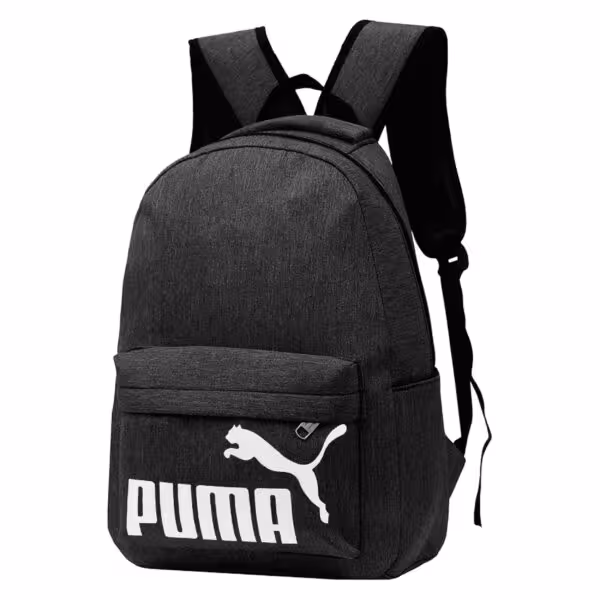 کوله پشتی ورزشی مدل PA-34825