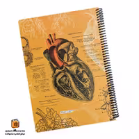 دفتر خط دار 100 برگ رحلی طرح قلب دات نوت (dotnote)