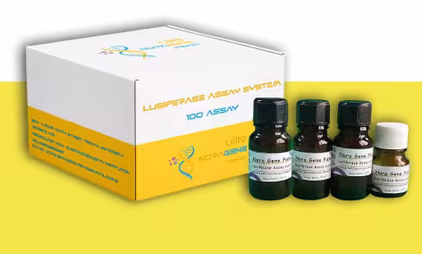 کیت سنجش آنزیم لوسیفراز