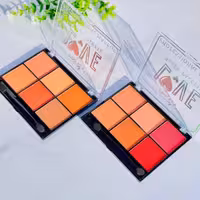 پالت رژ گونه مات عمده