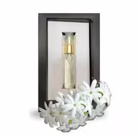 عطر یاس رزاقی برندآرجویل