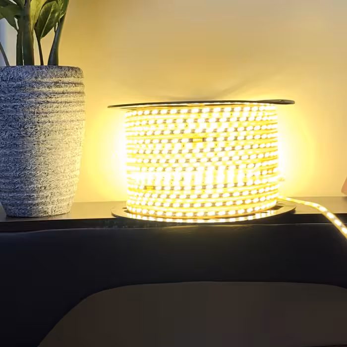 ریسه شلنگی آفتابی