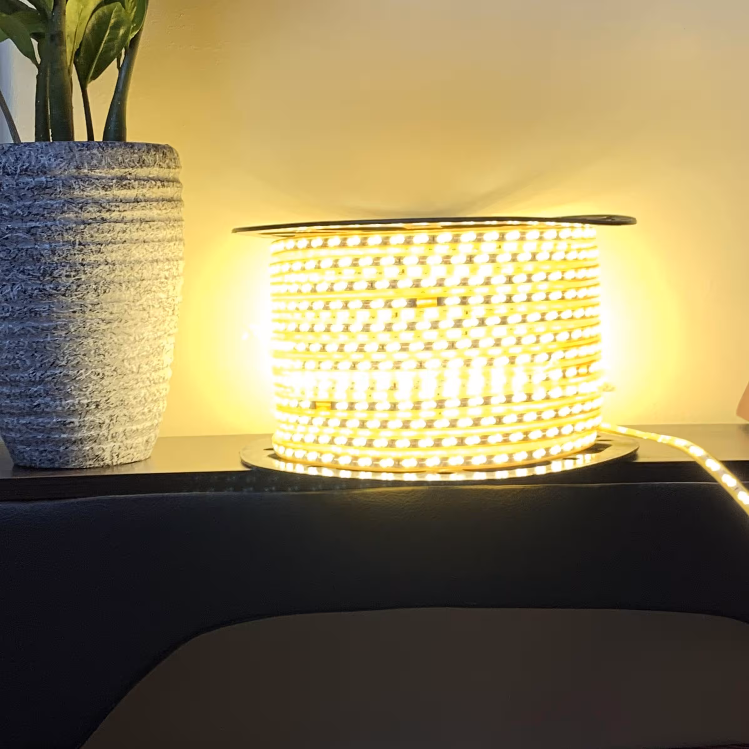 ریسه شلنگی آفتابی