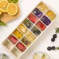 قالب یخ در 2 مدل