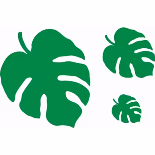 شابلون برگ انجیری 3 عدد در 3 سایز (1628)