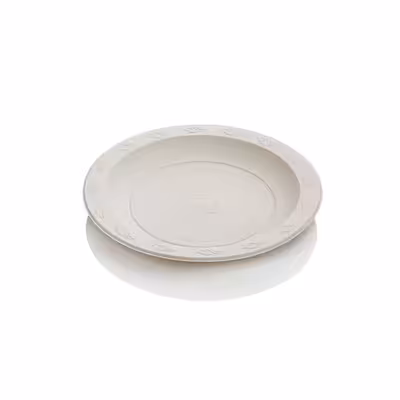 بشقاب یکبار مصرف گیاهی آملون مدل large بسته 24 عددی