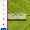 برچسب پوششی ماهوت مدل Leaf-Texture-FullSkin مناسب برای گوشی موبایل شیائومی Mi 10T Pro 5G