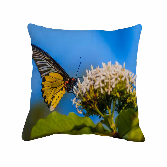 کاور کوسن طرح پروانه کد 5505