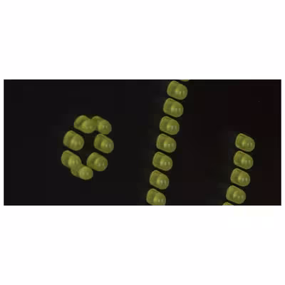 تابلو ال ای دی میشانه مدل تعمیرات موبایل کد 305