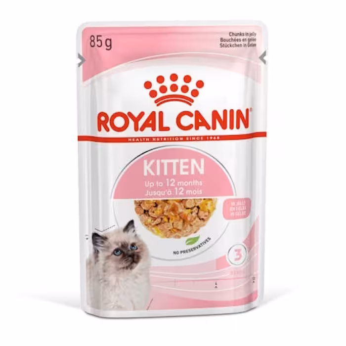 پوچ بچه گربه رویال کنین کیتن در ژله