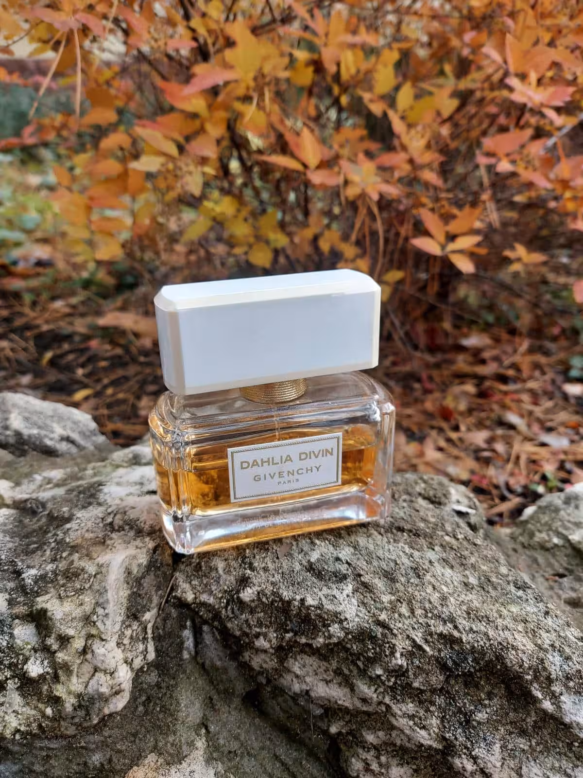 عطر ادکلن جیوانچی داهلیا دیوین اصل | Givenchy Dahlia Divin 75 ml