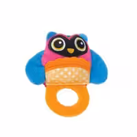 دندانگیر حلقه ای جغد