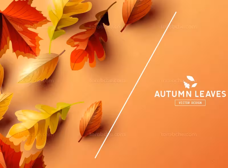 وکتور بک گراند خلاقانه پاییزه | گرافیک با طعم تربچه