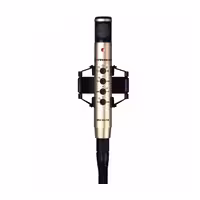 میکروفن گان سنهایزر SENNHEISER MKH 800 P48