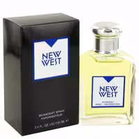 عطر و ادکلن مردانه آرامیس نیو وست ادوتویلت Aramis New West Skinscnt EDT FOR MEN