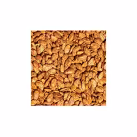 تخمه ژاپنی نمکی لوکس 250 گرمی