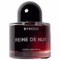 ادکلن بایردو رین د نویت 100 ml مستر کوالیتی