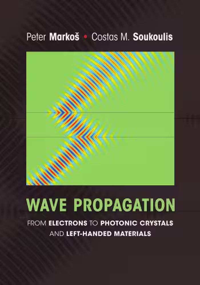 خرید و دانلود نسخه کامل کتاب Wave Propagation: From Electrons to Photonic Crystals and Left-Handed Materials
