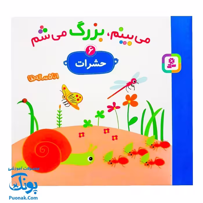 کتاب می بینم بزرگ می شم 6 – حشرات (برای 1 تا 5 ساله ها)