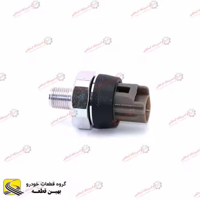 فشنگی روغن چانگان ایدو