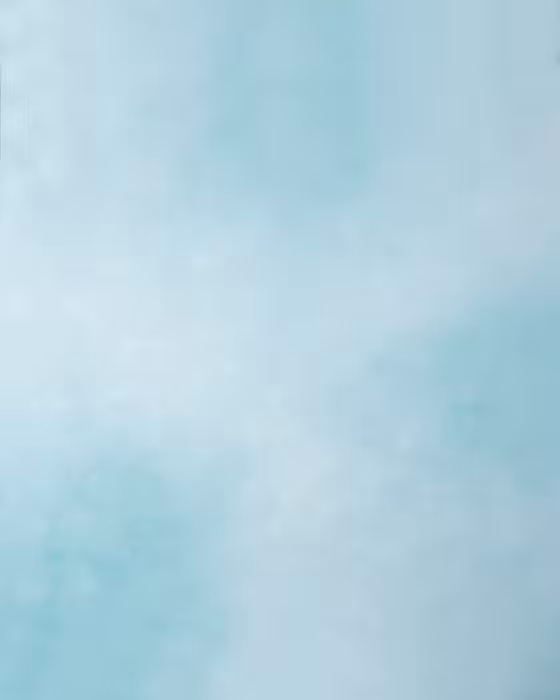 بک دراپ چوبی کد 207 (در 3 سایز)