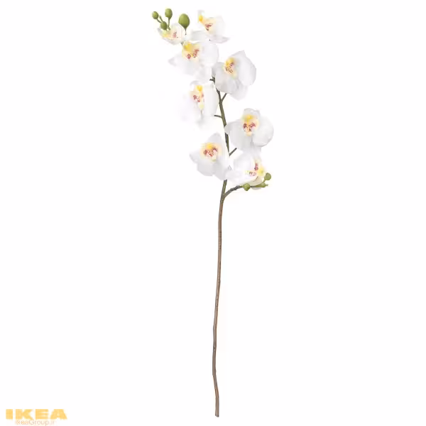 گل ارکیده سفید مصنوعی مدل SMYCKA | برند ایکیا | ارسال 15 الی 20 روز کاری