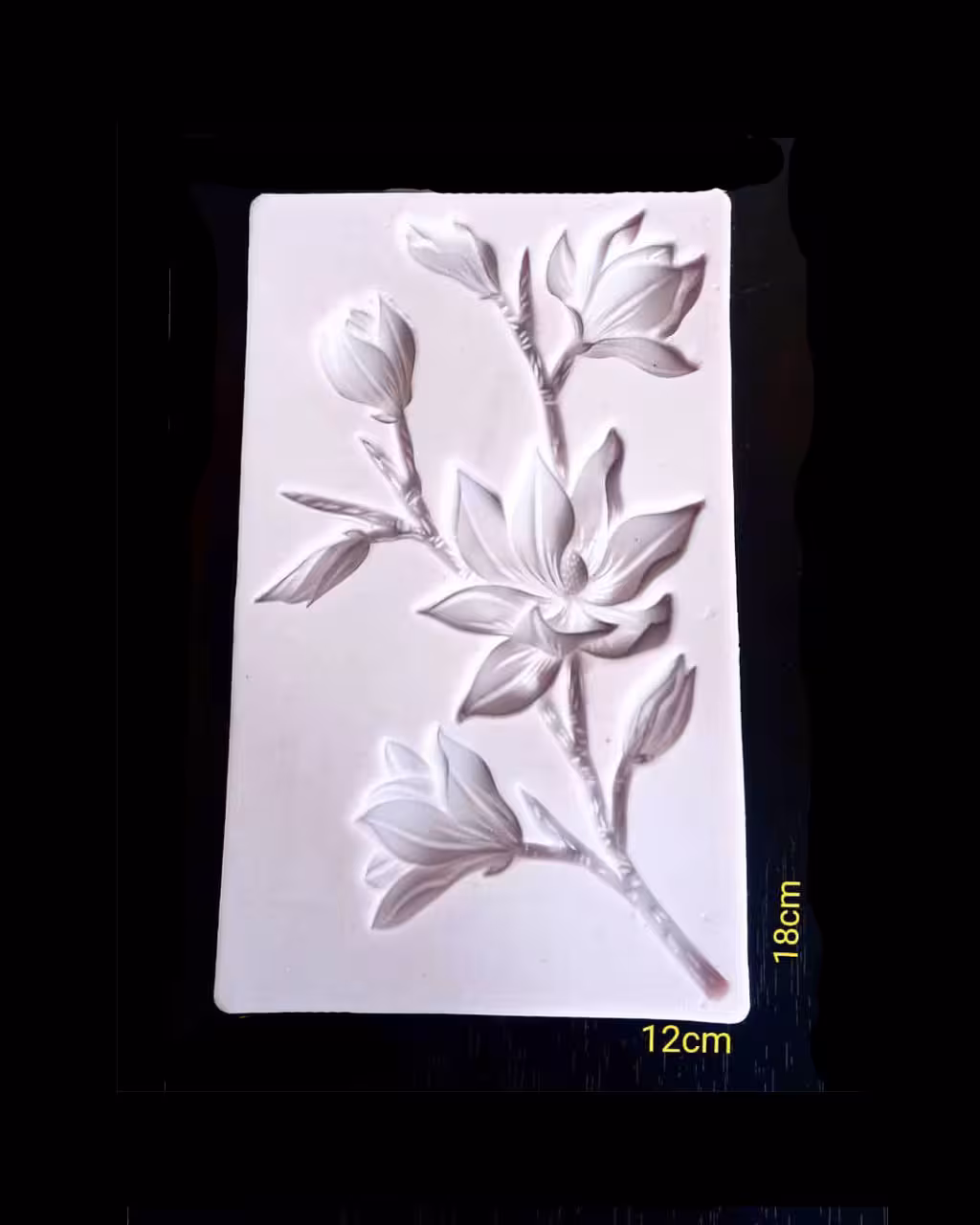 مولد گل مگنولیا