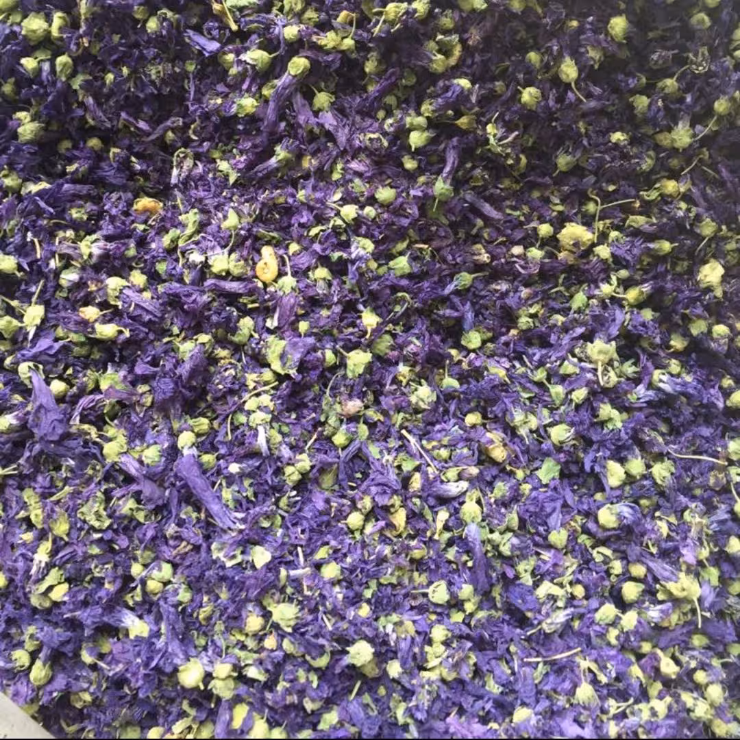 گل پنیرک اعلا